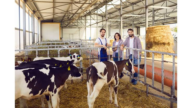 €38K Ireland Farm Jobs With Accommodation for Immigrants