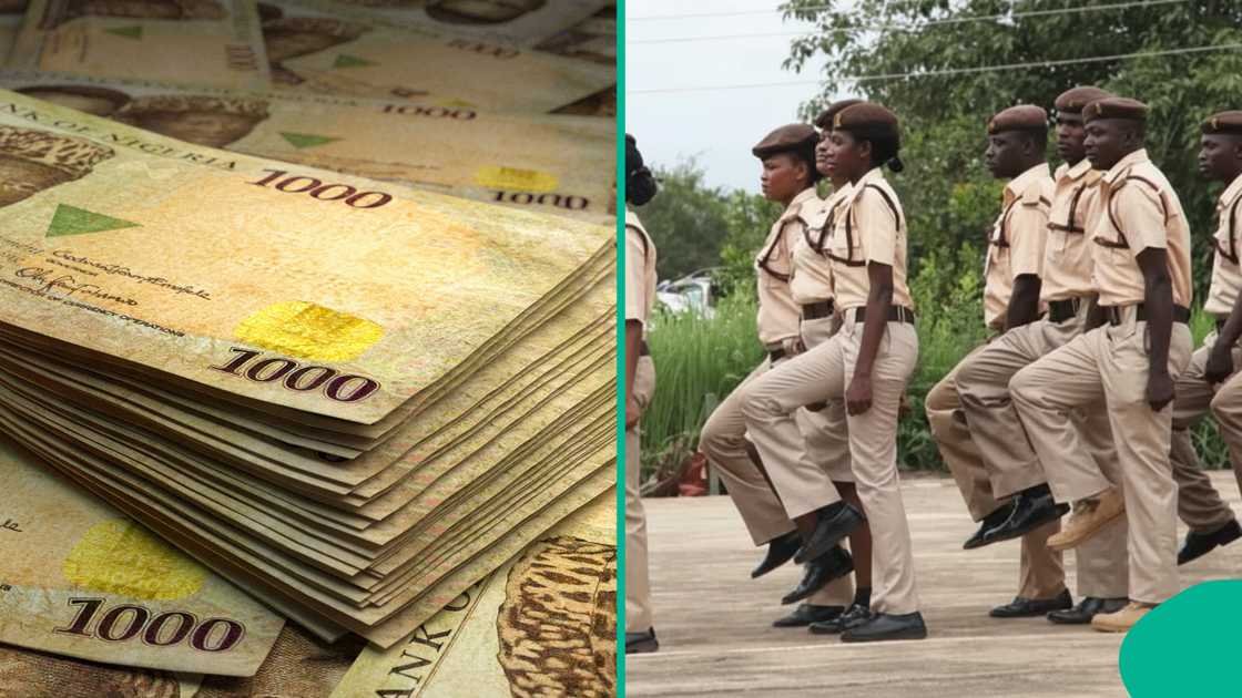 Immigration Salary for Graduate and Rank