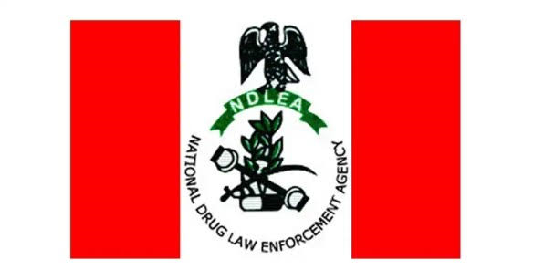 NDLEA Salary Ranks and Allowances