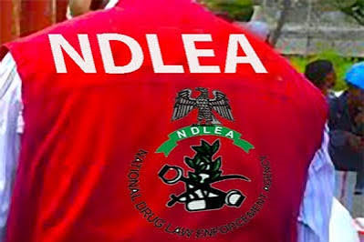 NDLEA Training Allowance And Duration