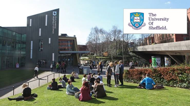 University of Sheffield International Merit Scholarships